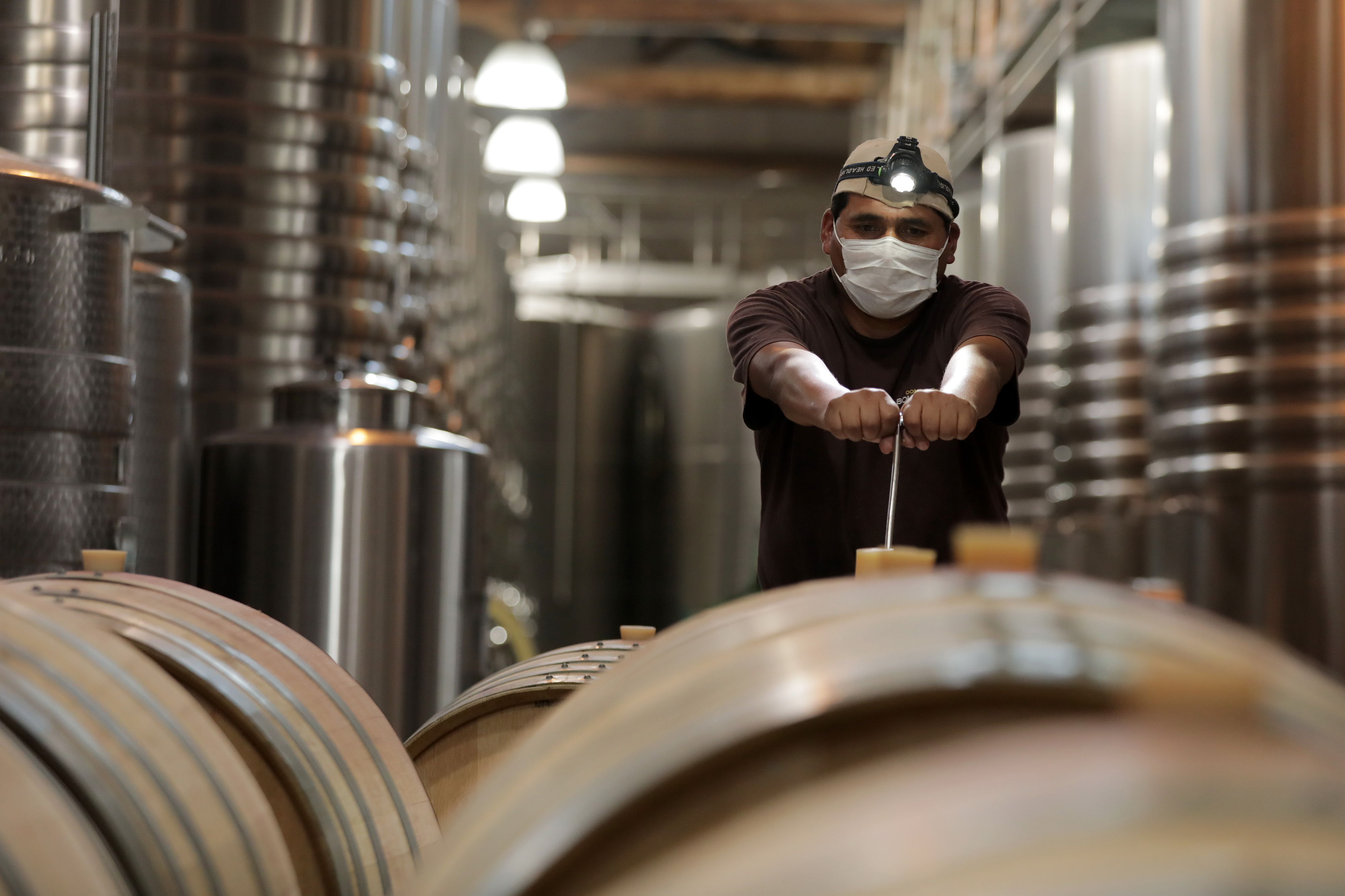 A COVID-19 masked winemaker pushes barrels of wine in the cellar