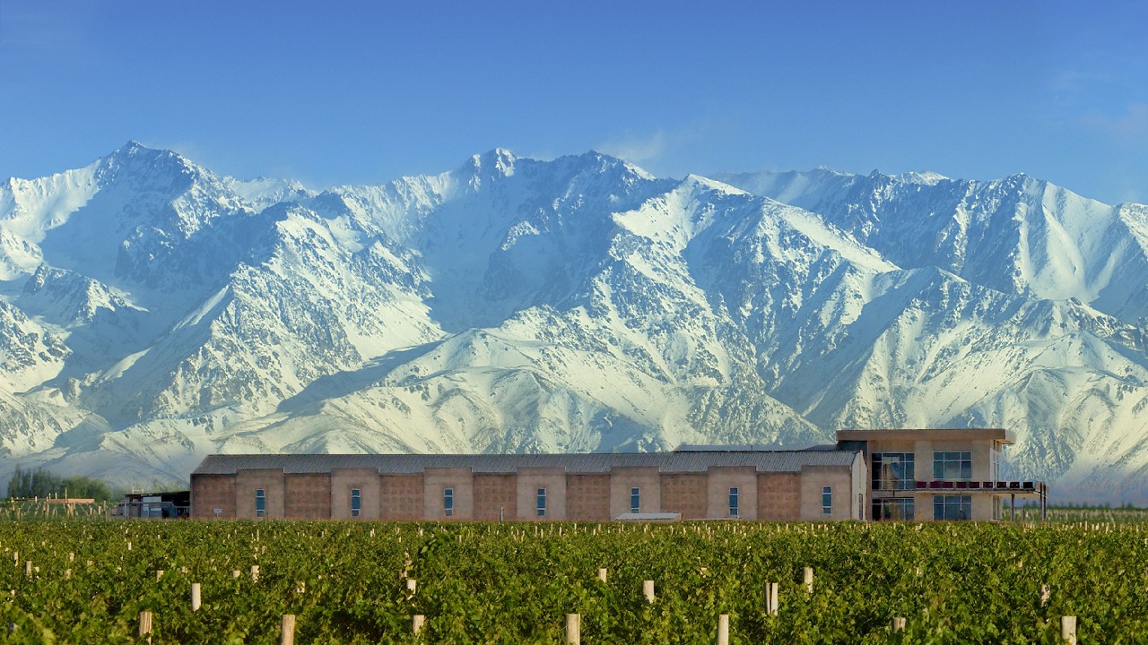 Green vineyard that produces organic wine with building at the center and snowy mountains in the background