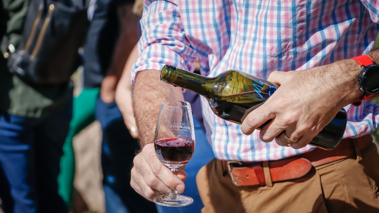 organic wines like this Domaine Bousquet red have been rumored to prevent hangovers