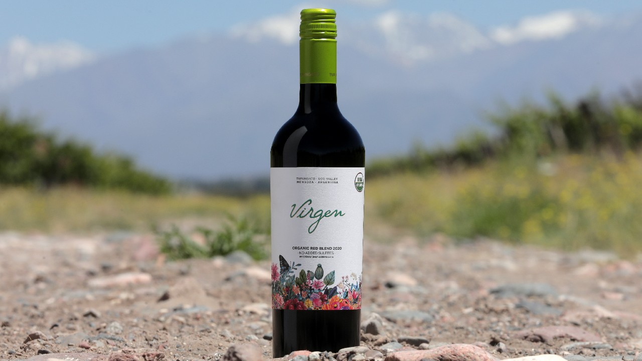 Organic wine history is shown by a bottle of Domaine Bousquet’s Virgen wine sitting on rocky topsoil with mountains in the background.