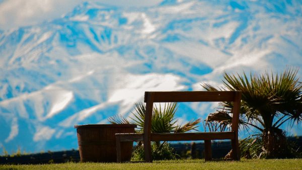 A bench in front of the Andes mountains where someone could relax and drink organic liquor or beer