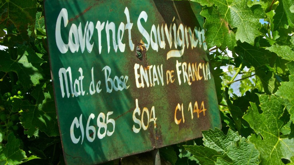 A sign to organic wine bars