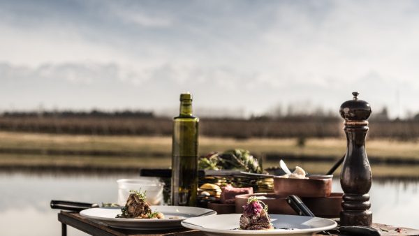 Domaine Bousquet vineyard presents a beautiful, natural outdoor dining setting with food and organic wine pairings